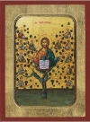 Christ the True Vine (The Vineyard) - Starting at $15.00